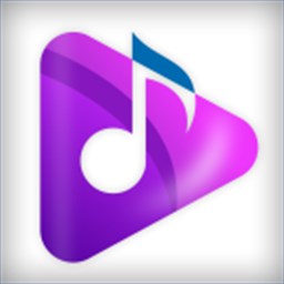 Pinnacle Media Player