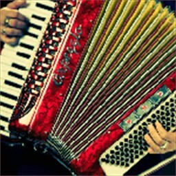 Accordion 10